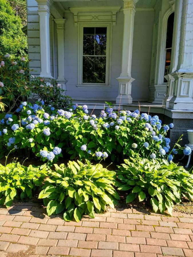 Proctor Mansion Inn Wrentham Exterior foto